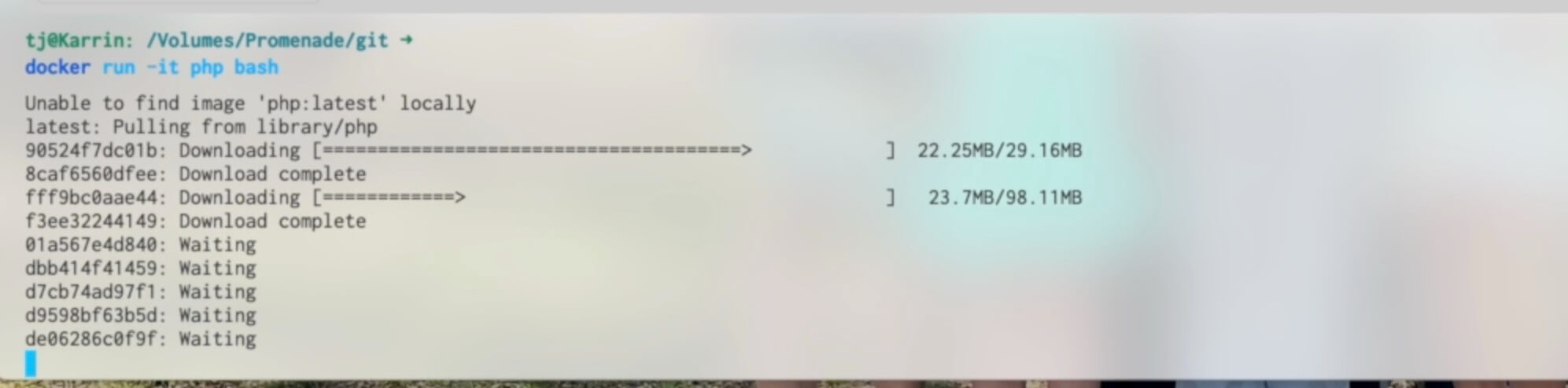 Docker Run Download Image